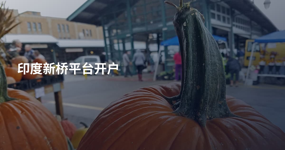 印度新桥平台开户
