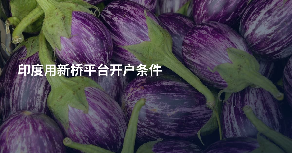 印度用新桥平台开户条件