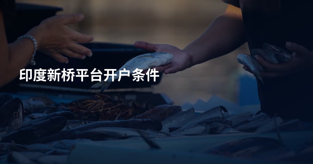 印度新桥平台开户条件