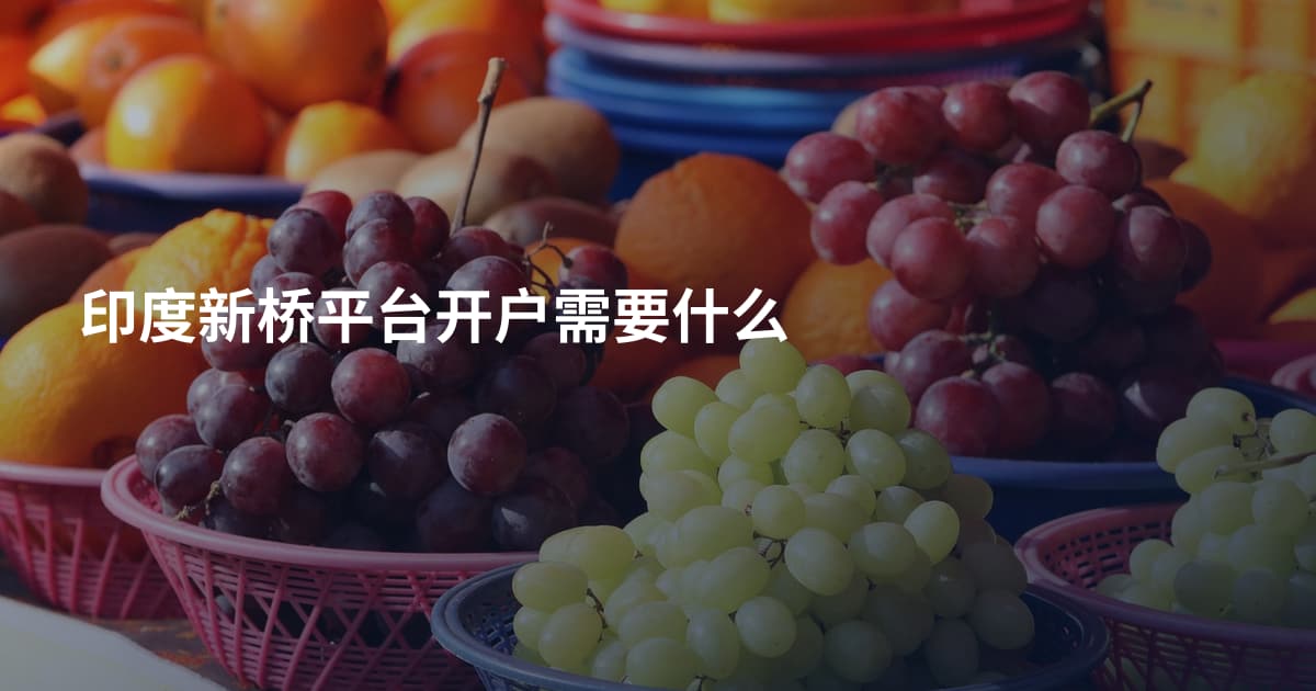 印度新桥平台开户需要什么