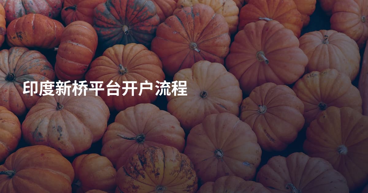印度新桥平台开户流程