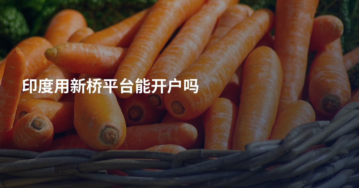 印度用新桥平台能开户吗