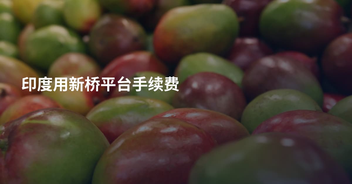 印度用新桥平台手续费