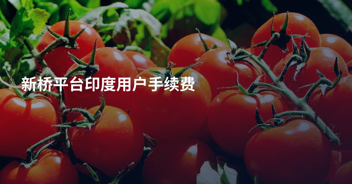 新桥平台印度用户手续费