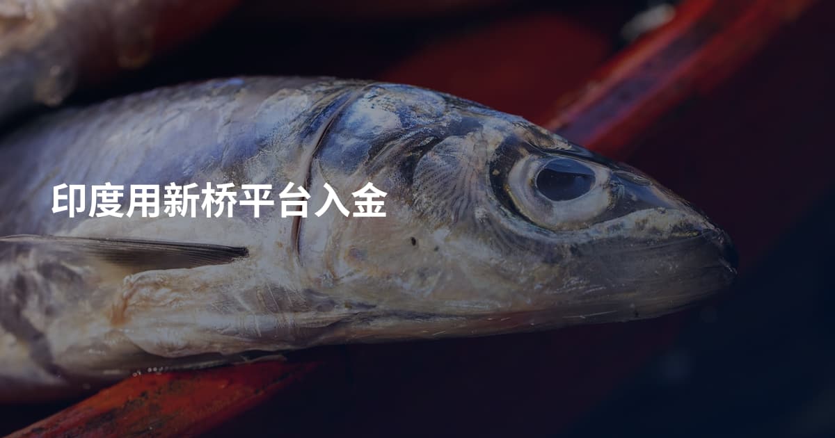 印度用新桥平台入金