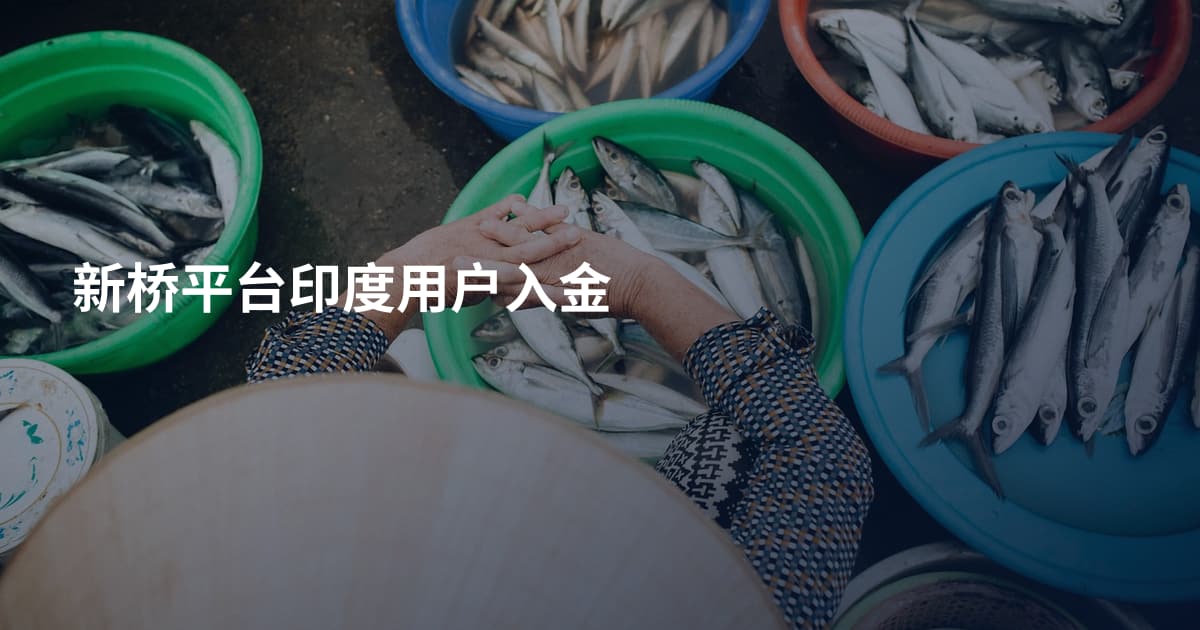 新桥平台印度用户入金