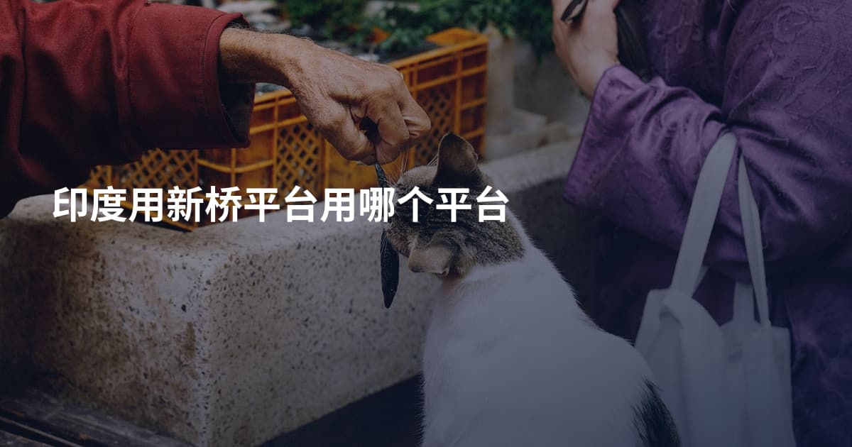 印度用新桥平台用哪个平台