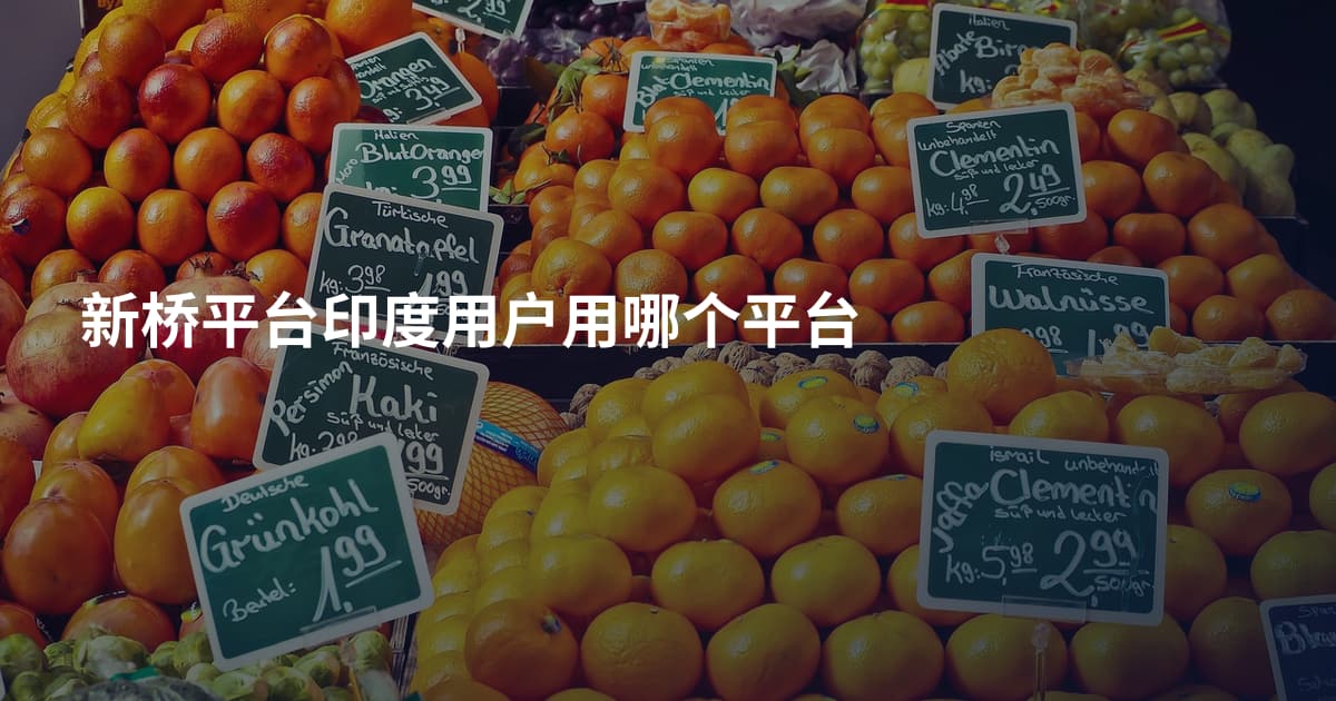 新桥平台印度用户用哪个平台