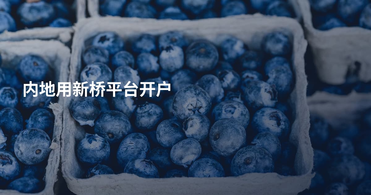 内地用新桥平台开户