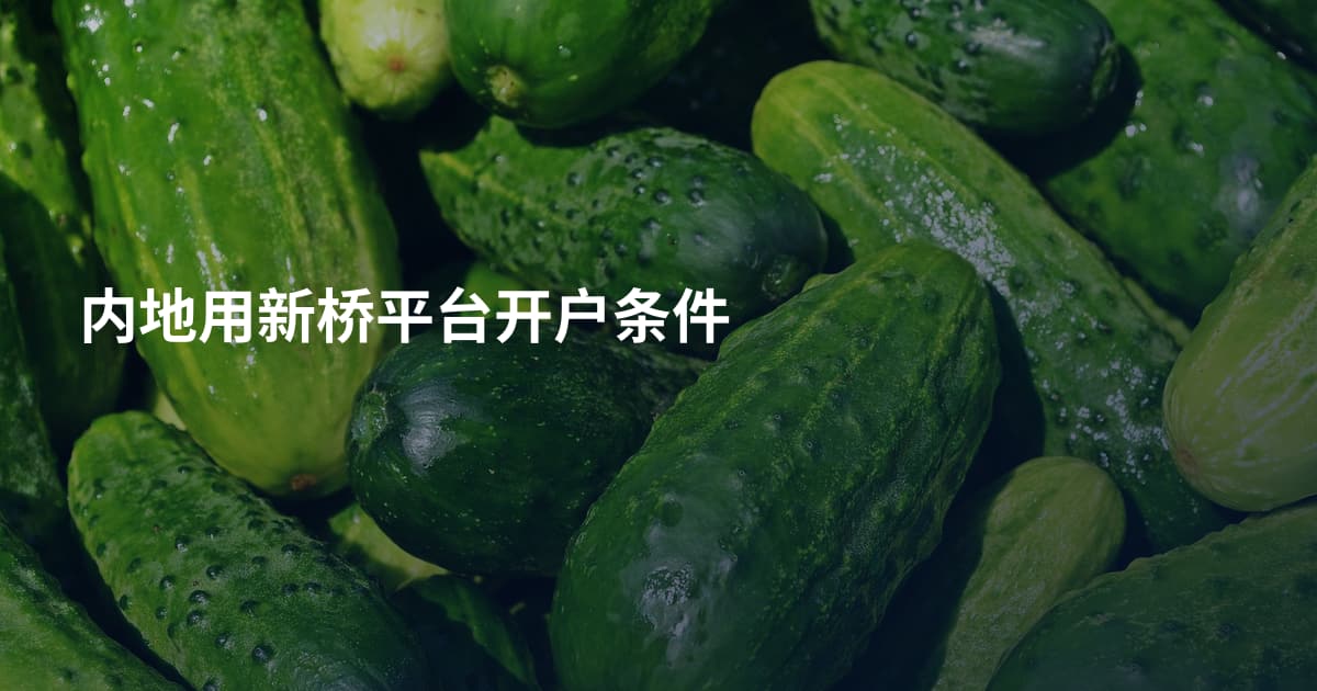 内地用新桥平台开户条件