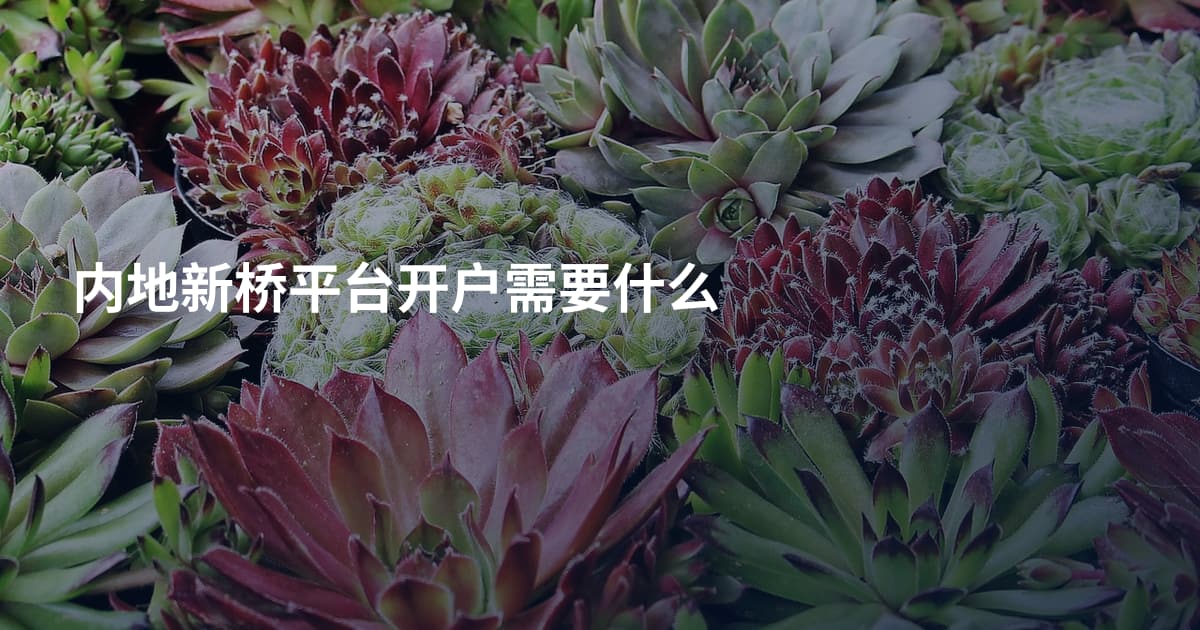 内地新桥平台开户需要什么