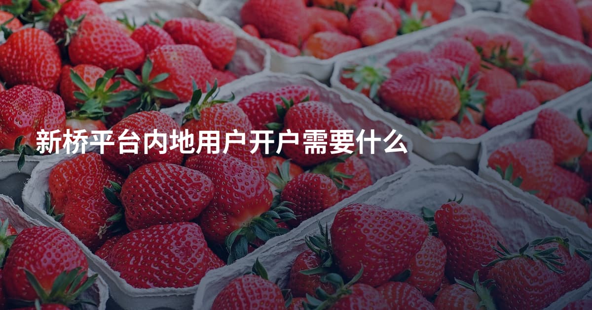 新桥平台内地用户开户需要什么