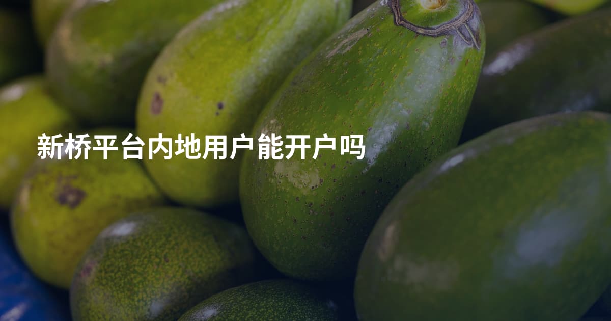 新桥平台内地用户能开户吗