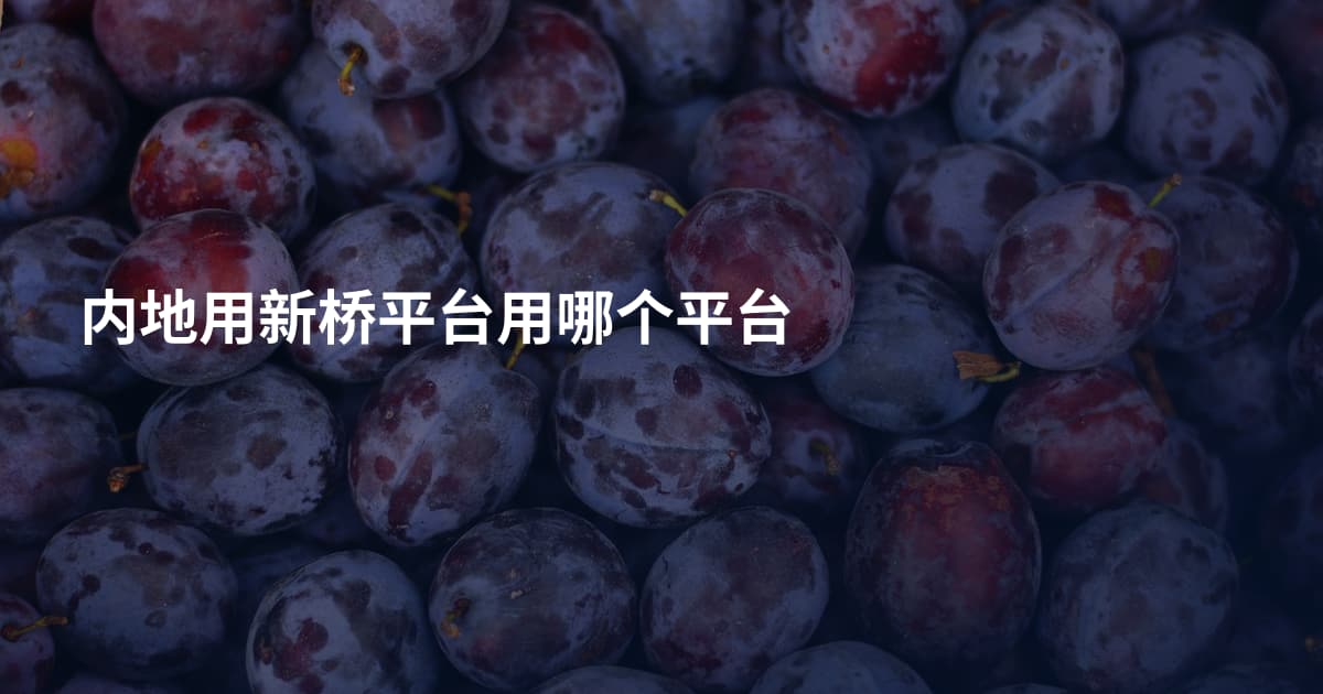 内地用新桥平台用哪个平台