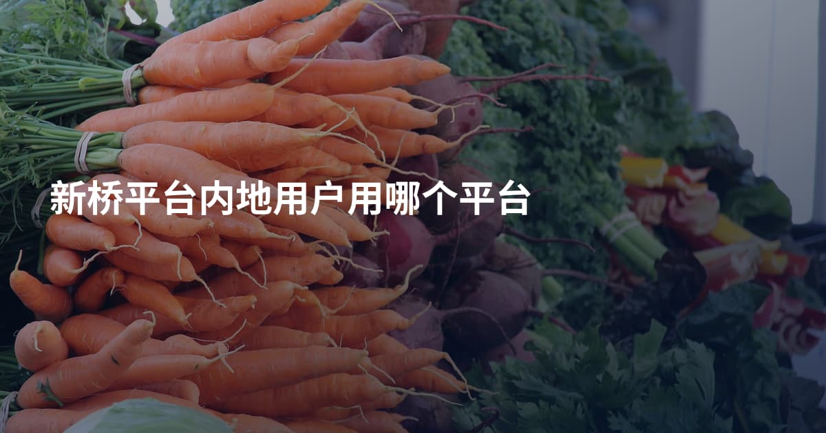 新桥平台内地用户用哪个平台