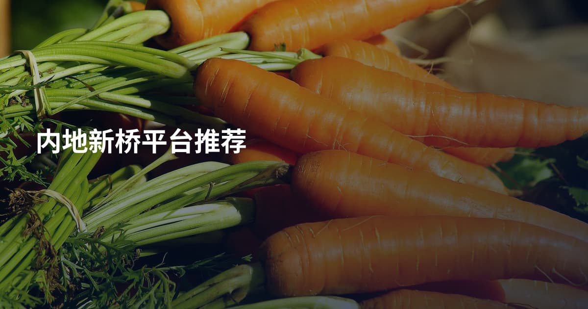 内地新桥平台推荐