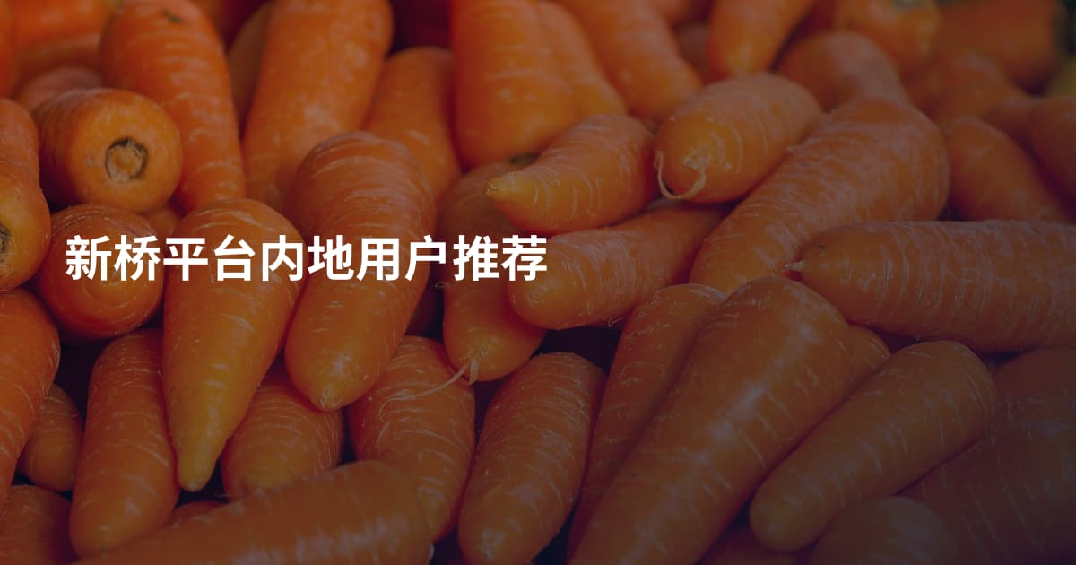 新桥平台内地用户推荐