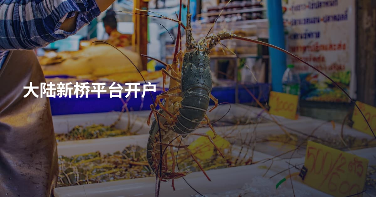 大陆新桥平台开户