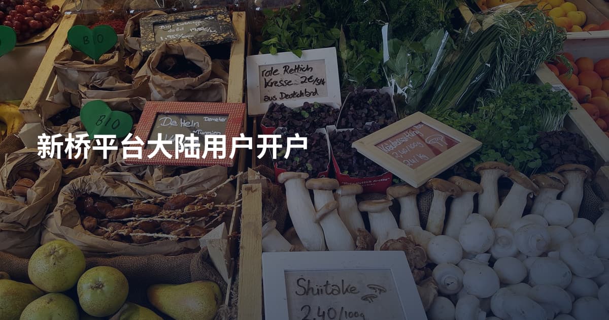 新桥平台大陆用户开户