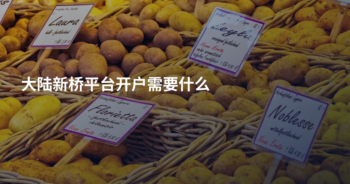 大陆新桥平台开户需要什么