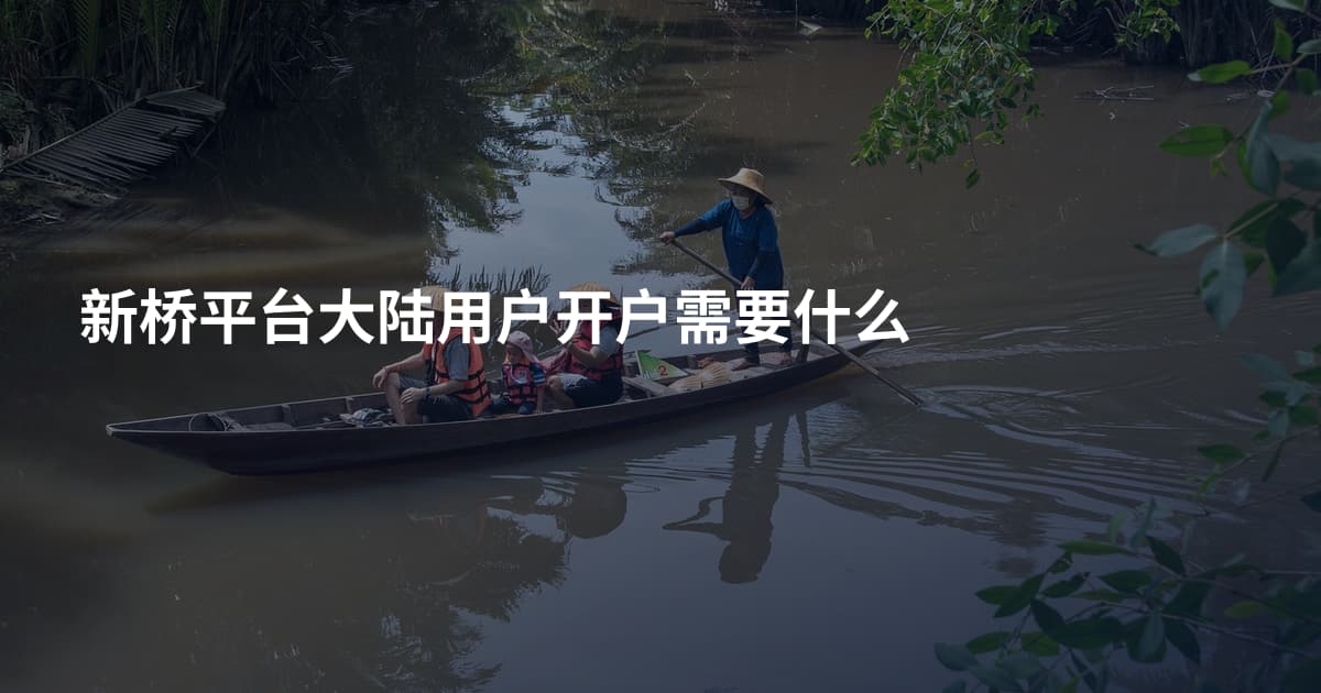 新桥平台大陆用户开户需要什么