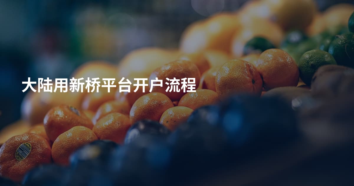 大陆用新桥平台开户流程