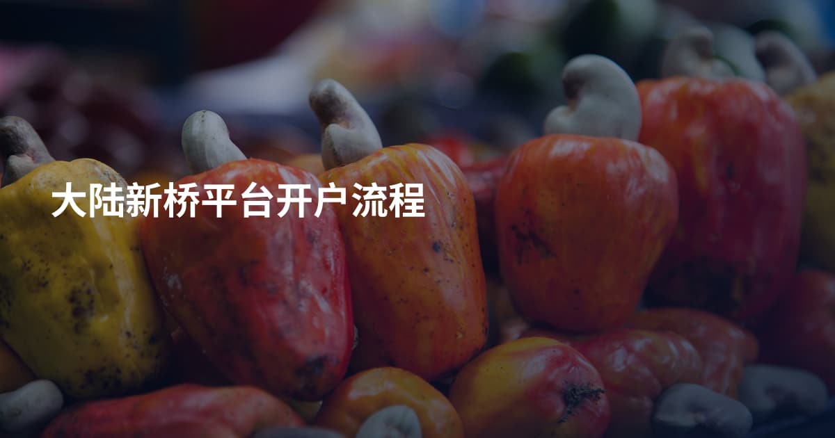 大陆新桥平台开户流程