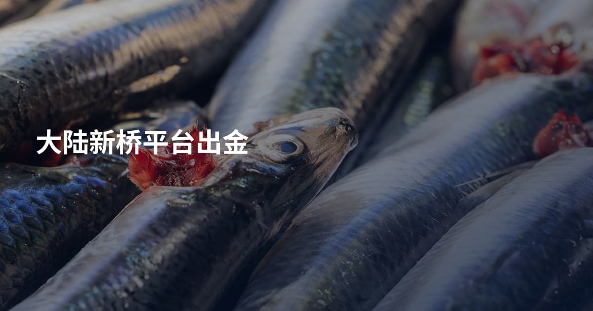 大陆新桥平台出金