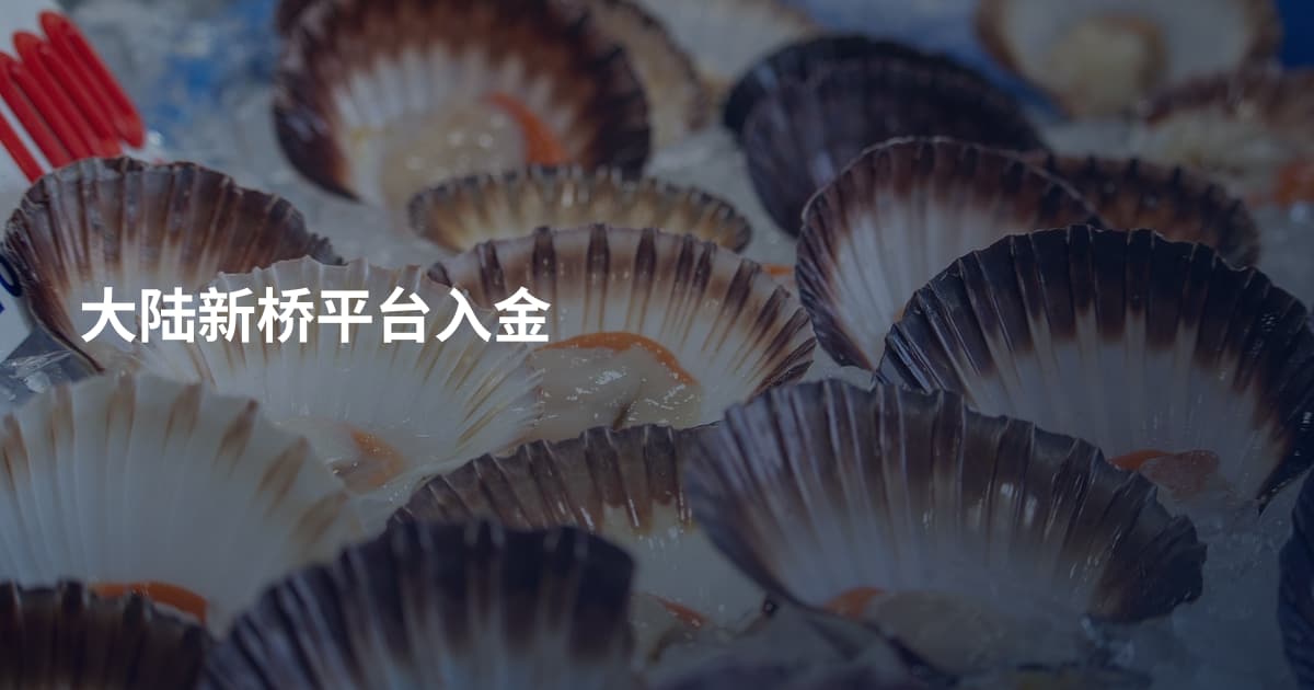 大陆新桥平台入金