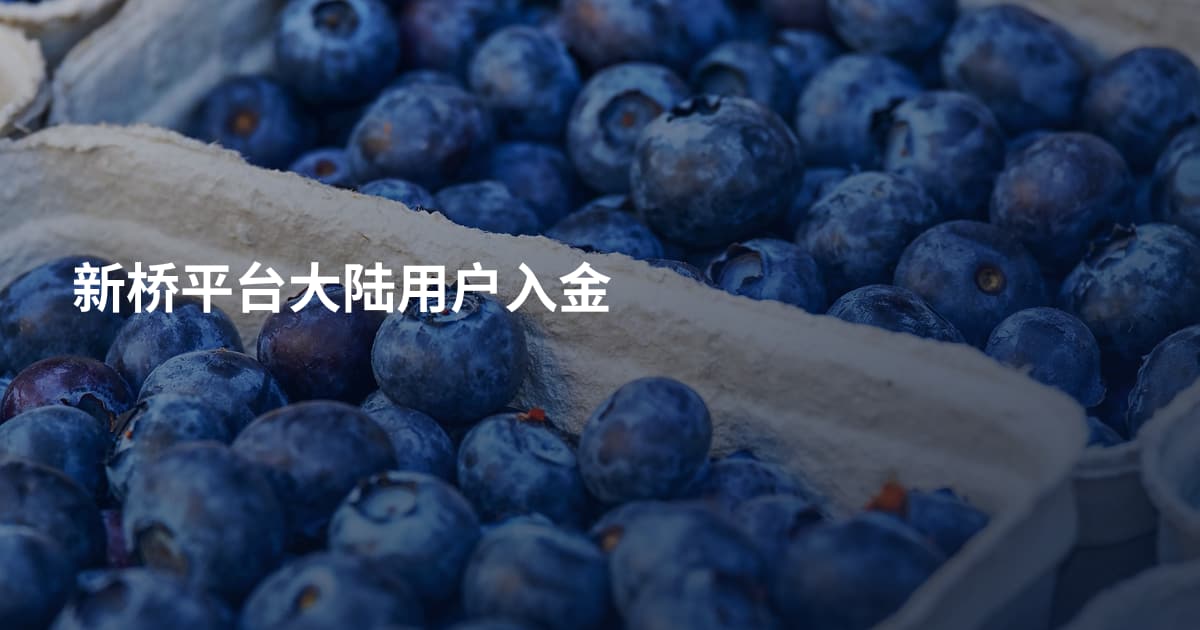 新桥平台大陆用户入金