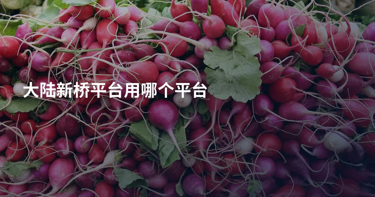 大陆新桥平台用哪个平台