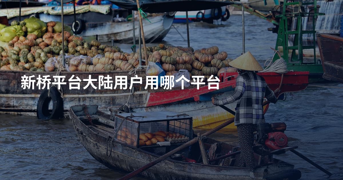 新桥平台大陆用户用哪个平台