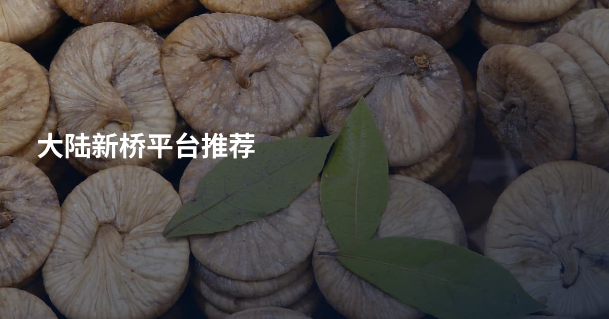 大陆新桥平台推荐