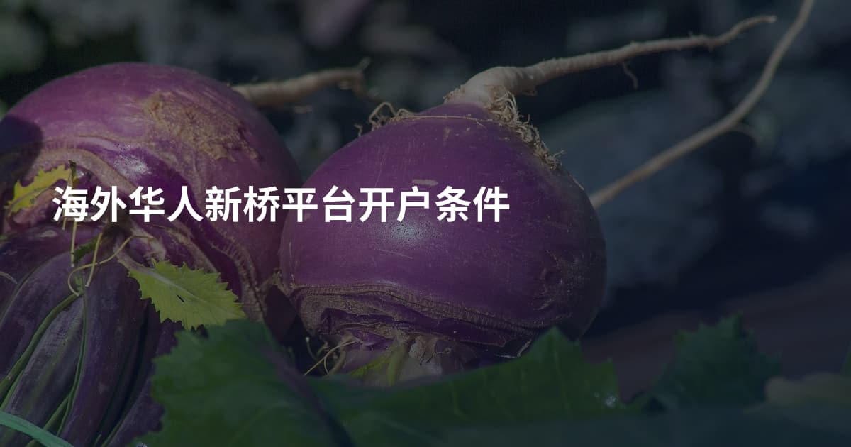 海外华人新桥平台开户条件