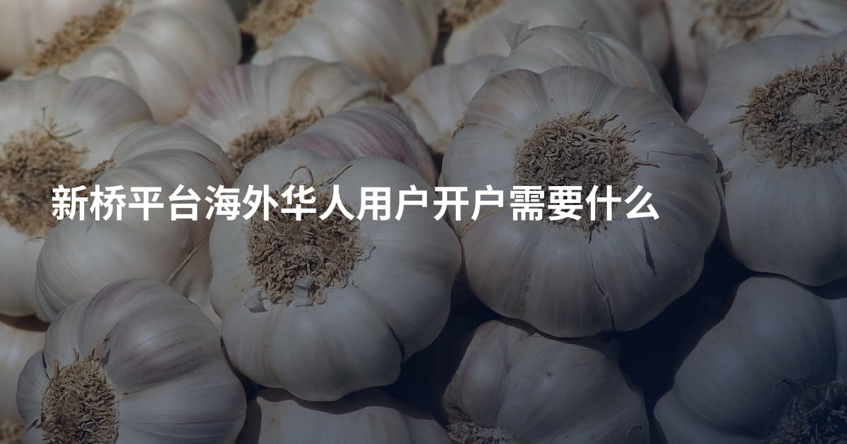 新桥平台海外华人用户开户需要什么