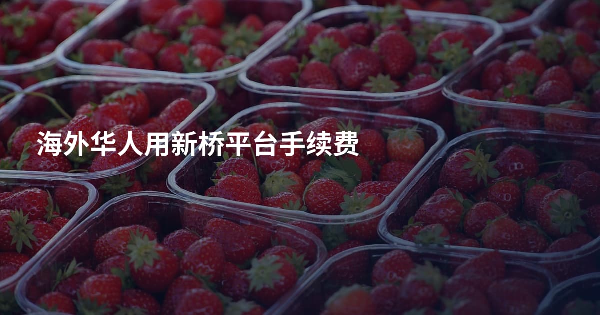 海外华人用新桥平台手续费