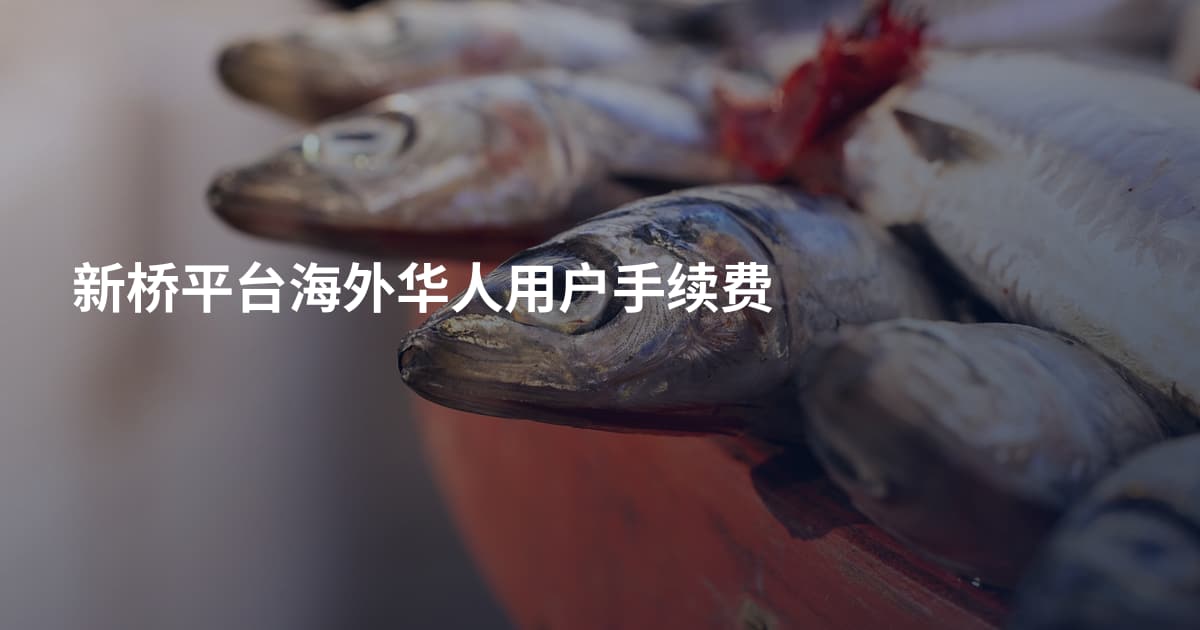 新桥平台海外华人用户手续费
