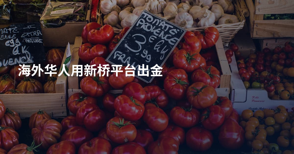 海外华人用新桥平台出金
