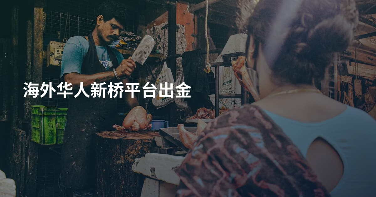 海外华人新桥平台出金