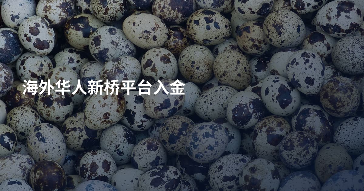 海外华人新桥平台入金