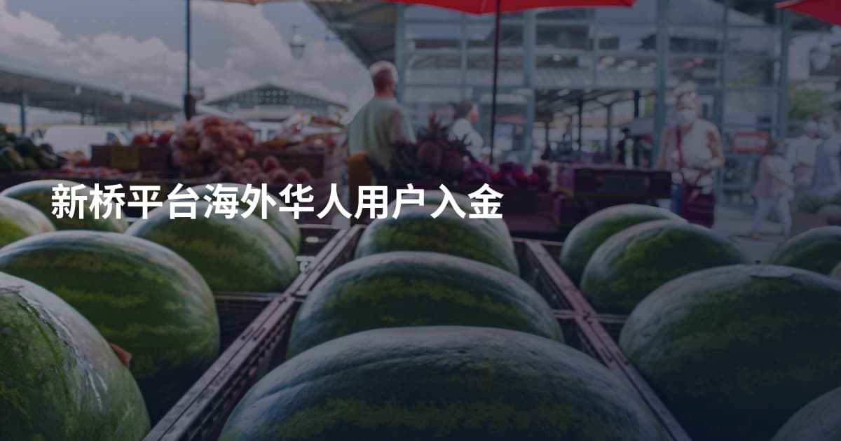 新桥平台海外华人用户入金
