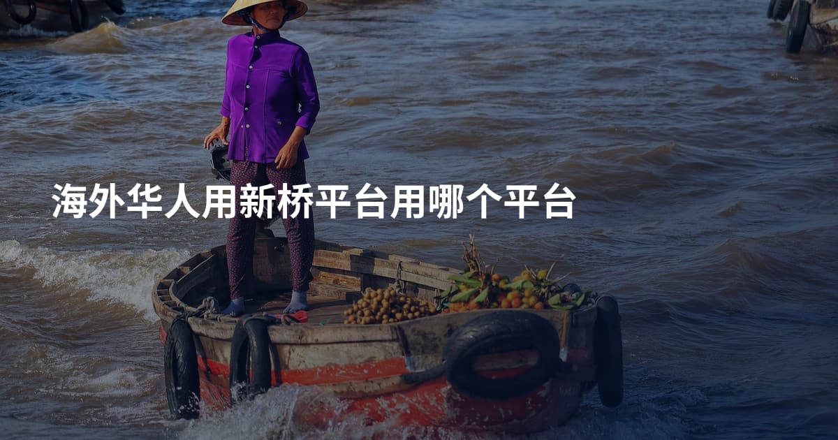 海外华人用新桥平台用哪个平台