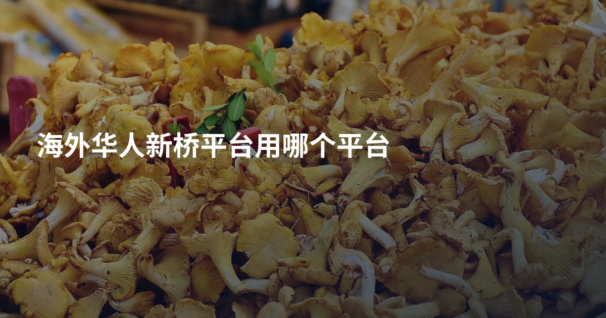 海外华人新桥平台用哪个平台