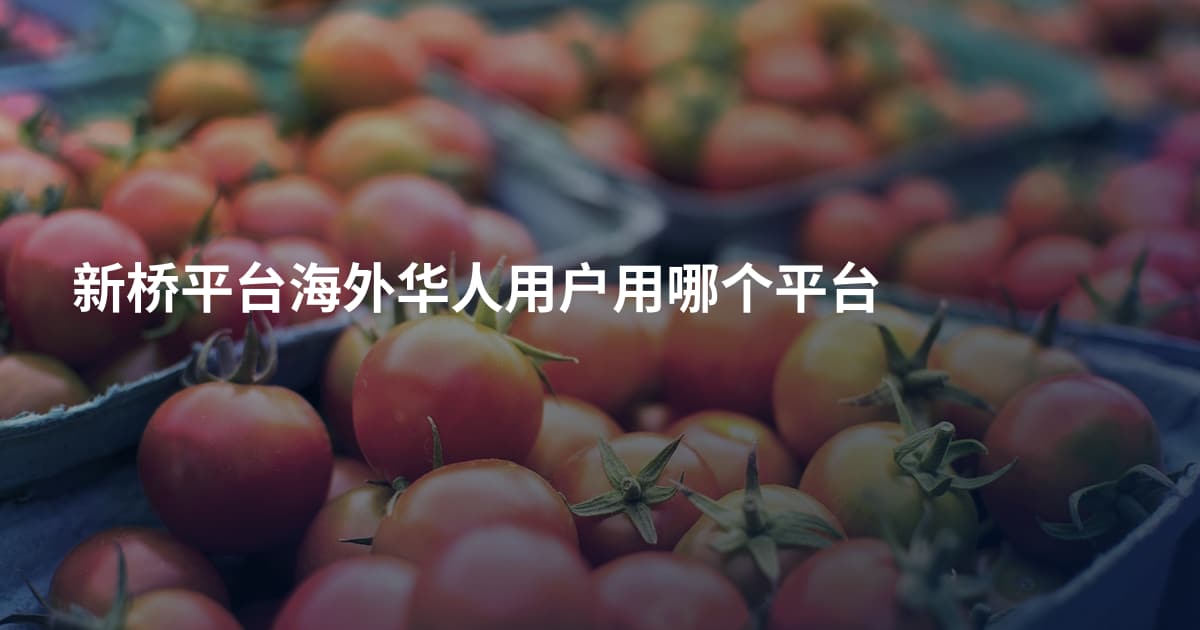 新桥平台海外华人用户用哪个平台