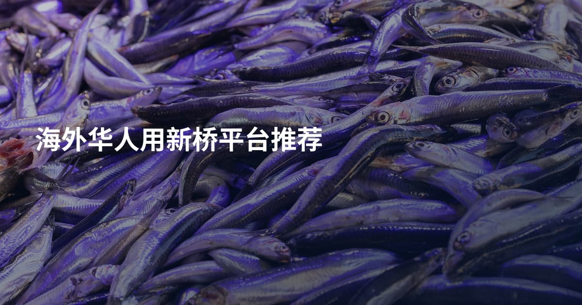 海外华人用新桥平台推荐