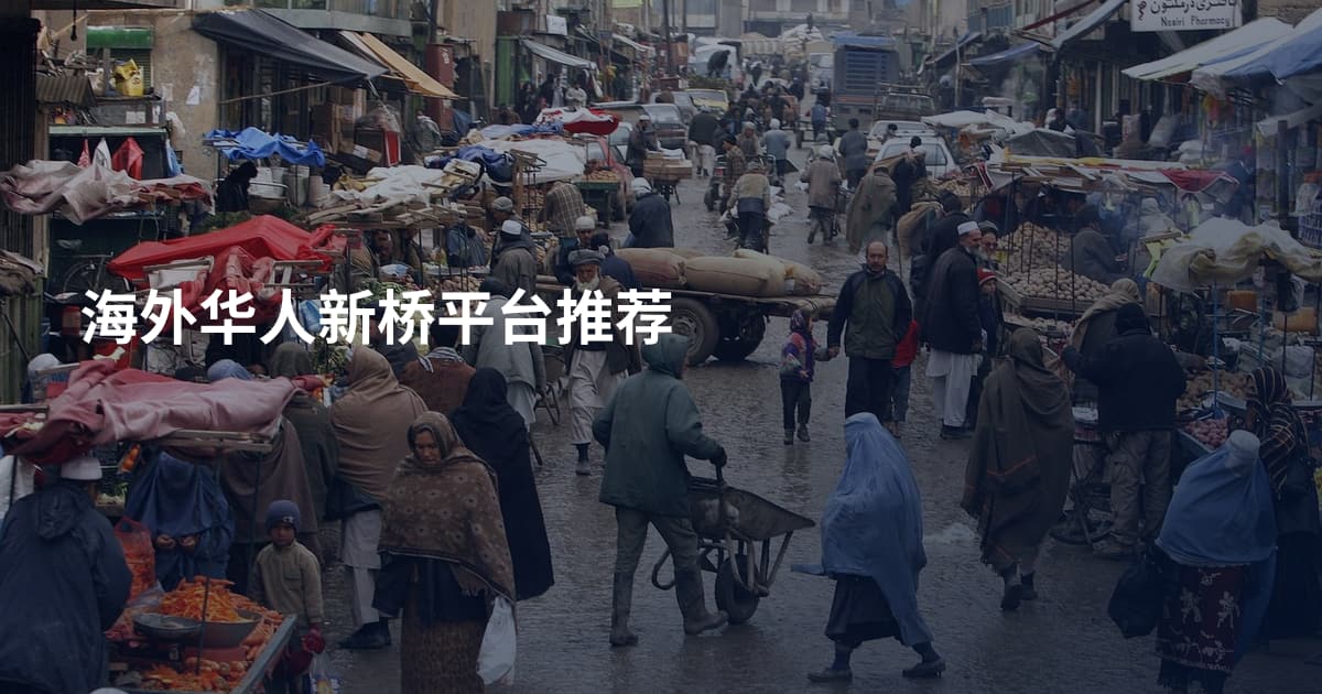 海外华人新桥平台推荐