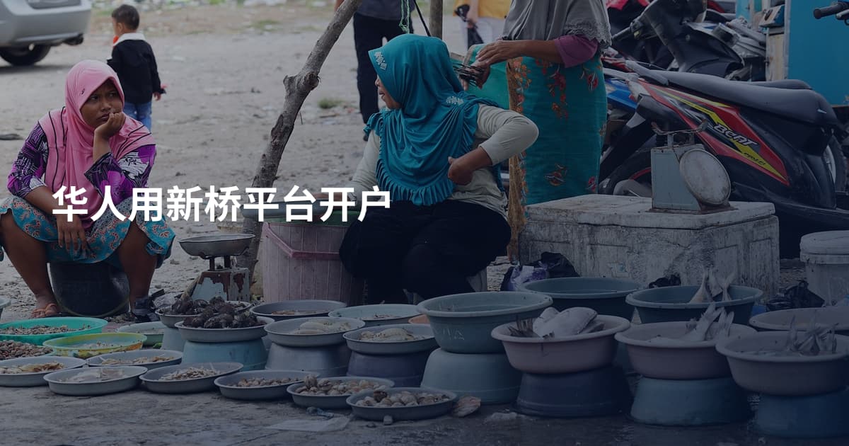 华人用新桥平台开户