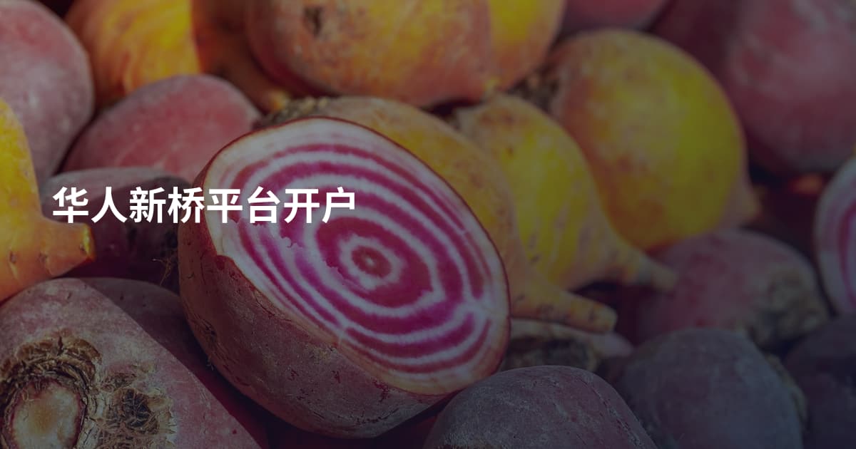 华人新桥平台开户