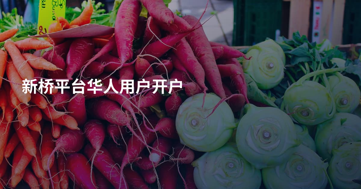 新桥平台华人用户开户