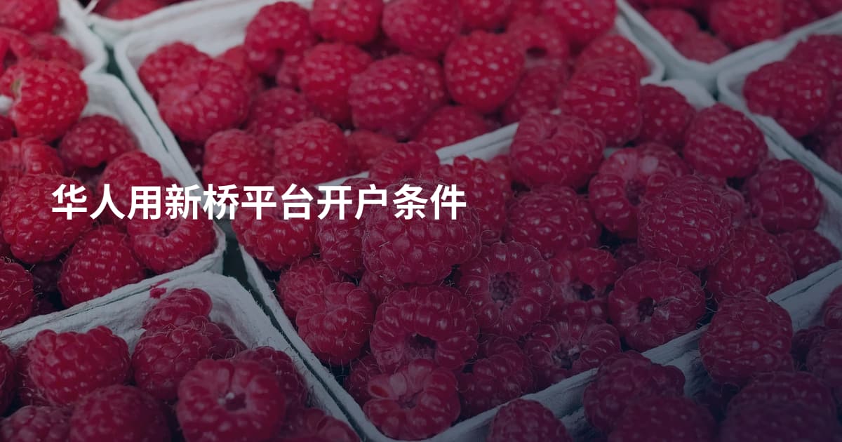 华人用新桥平台开户条件